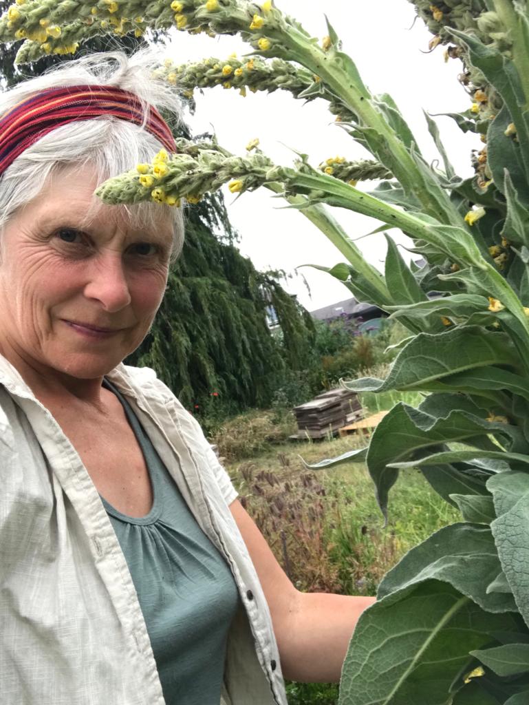 Forest Garden Basics A guide to how and why A home for traditional