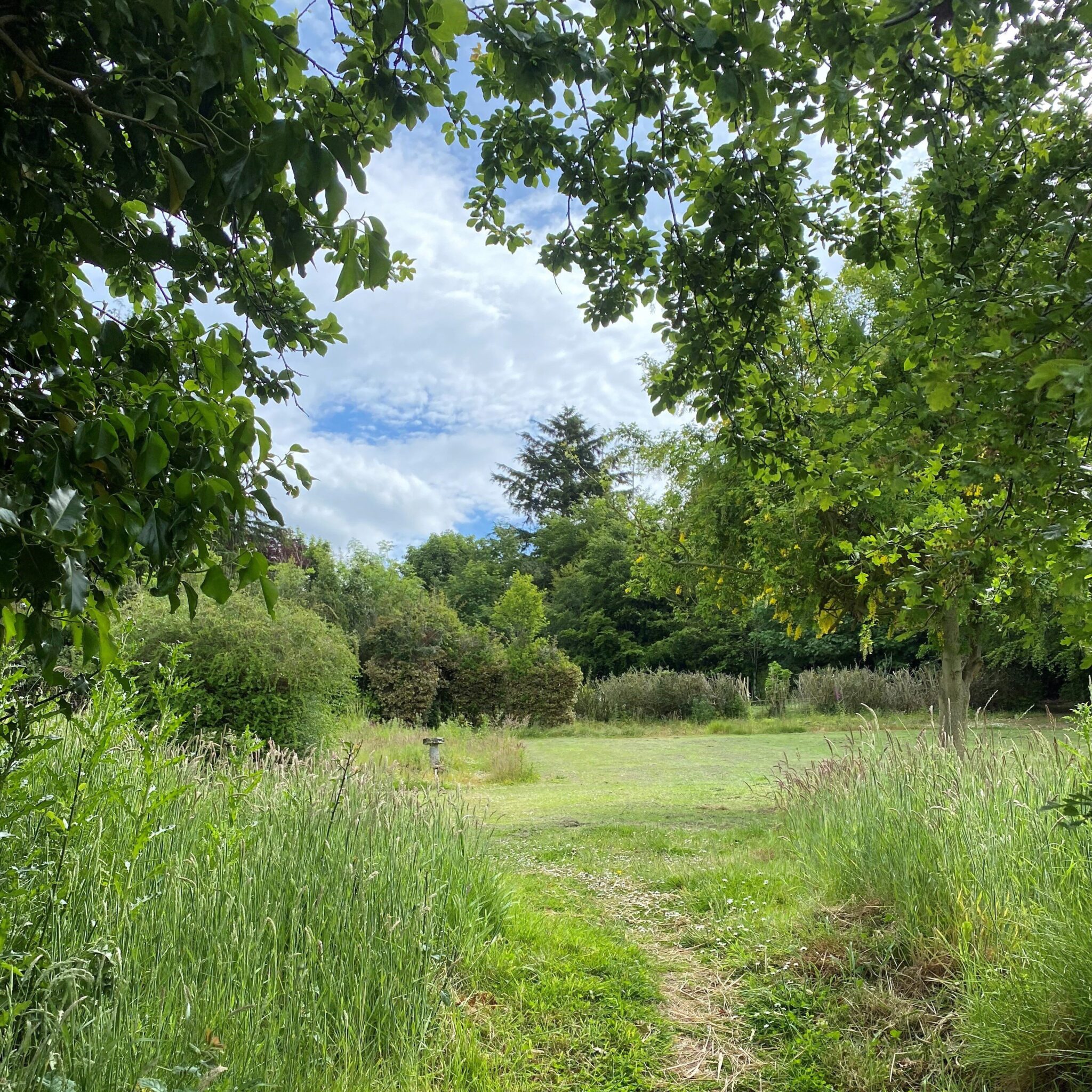 Garden-scaled-aspect-ratio-500-500