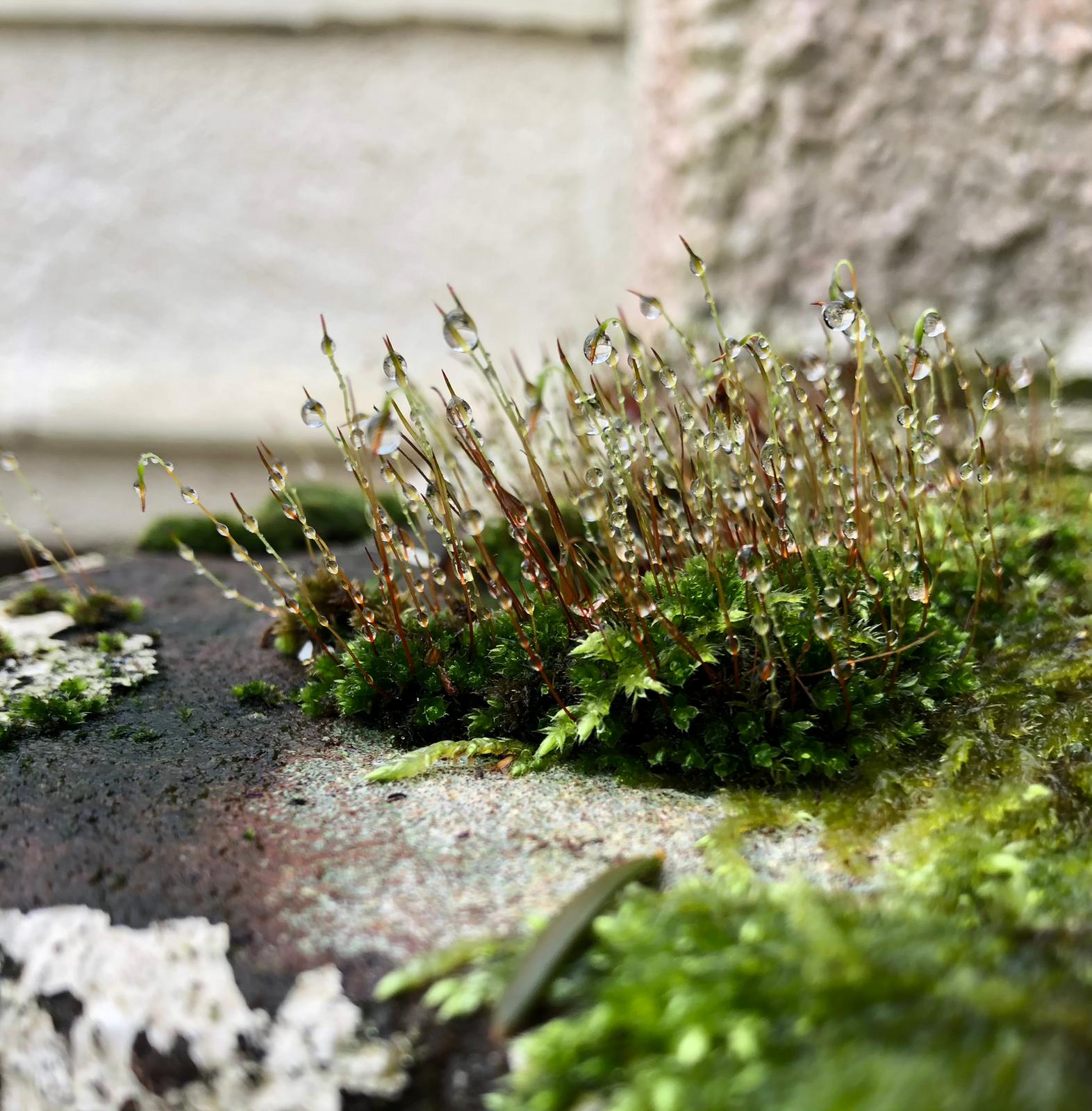 f29d5e9a-b9dc-498d-98f0-80b412623cfe