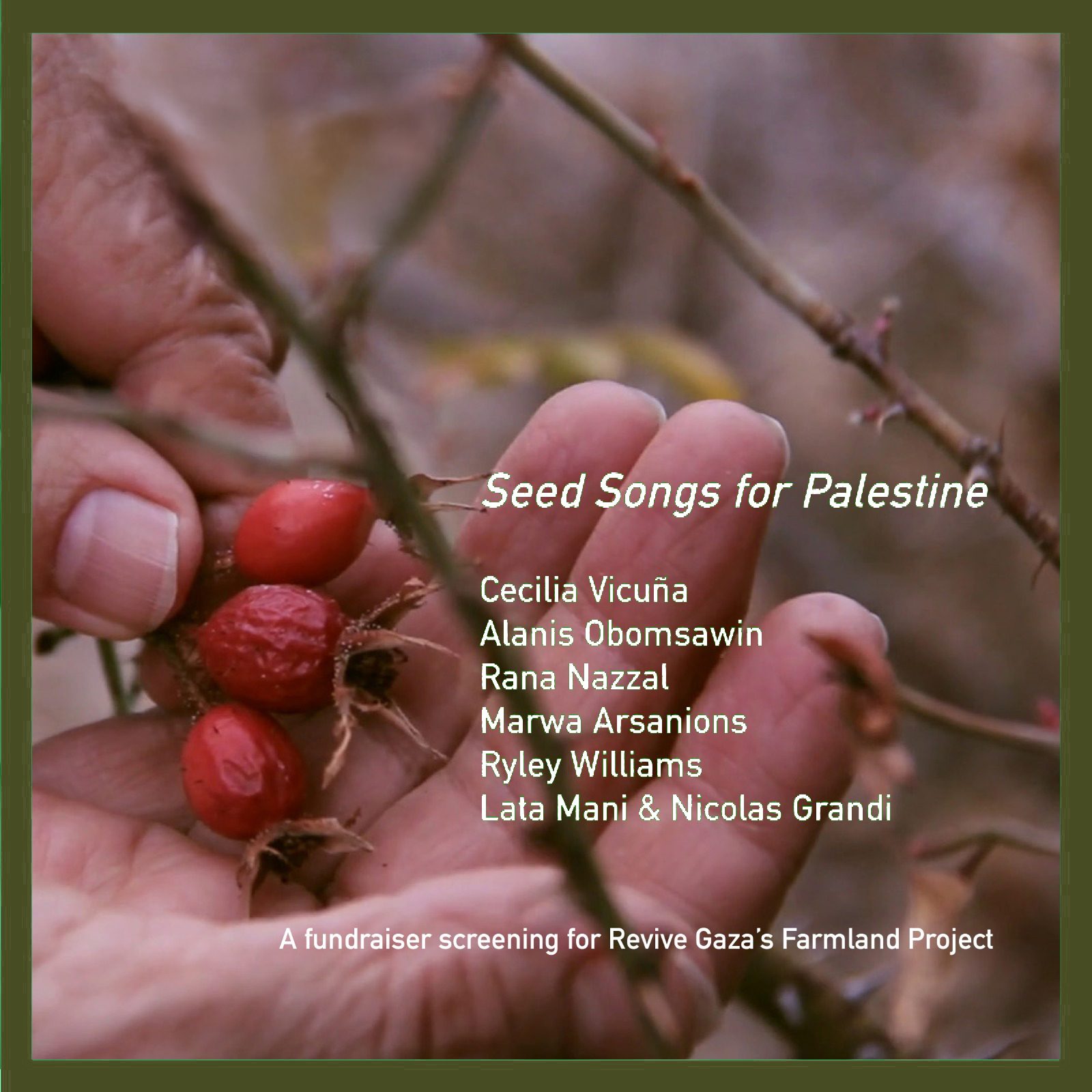 Seed Songs for Palestine Fundraiser