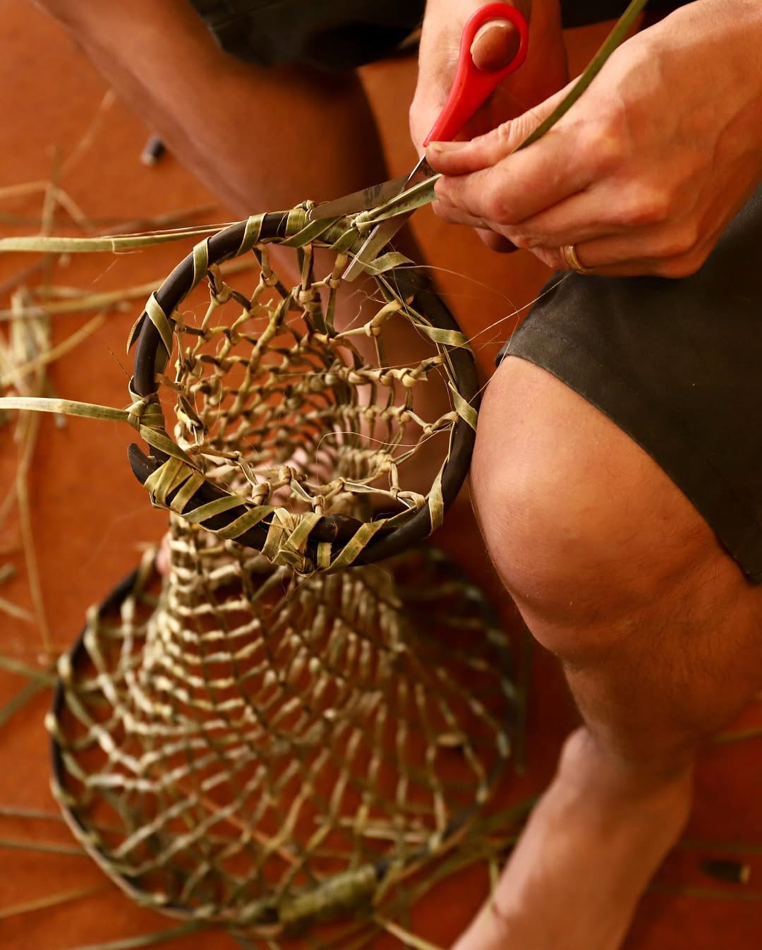 Introduction to Harakeke | Forgan Arts Centre