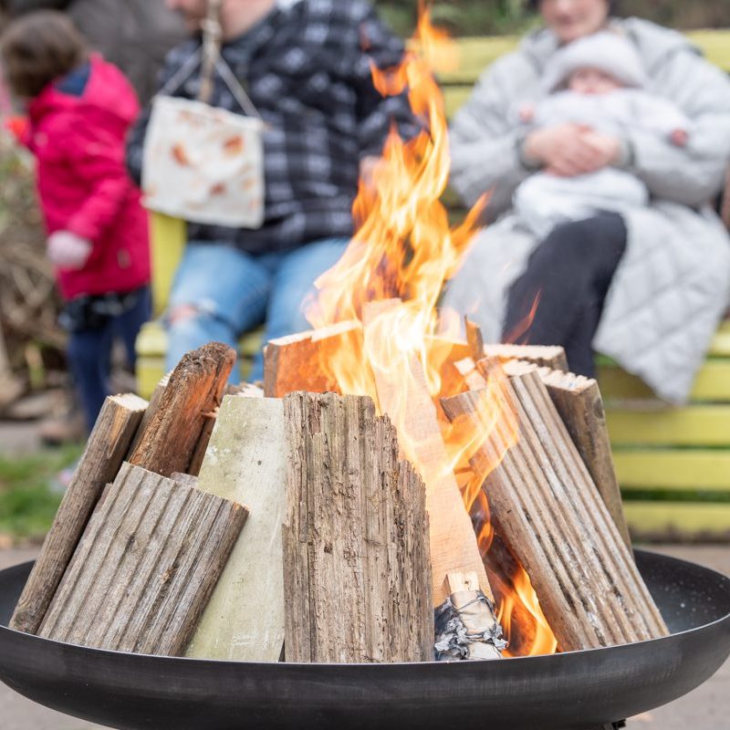 Beltane 2025