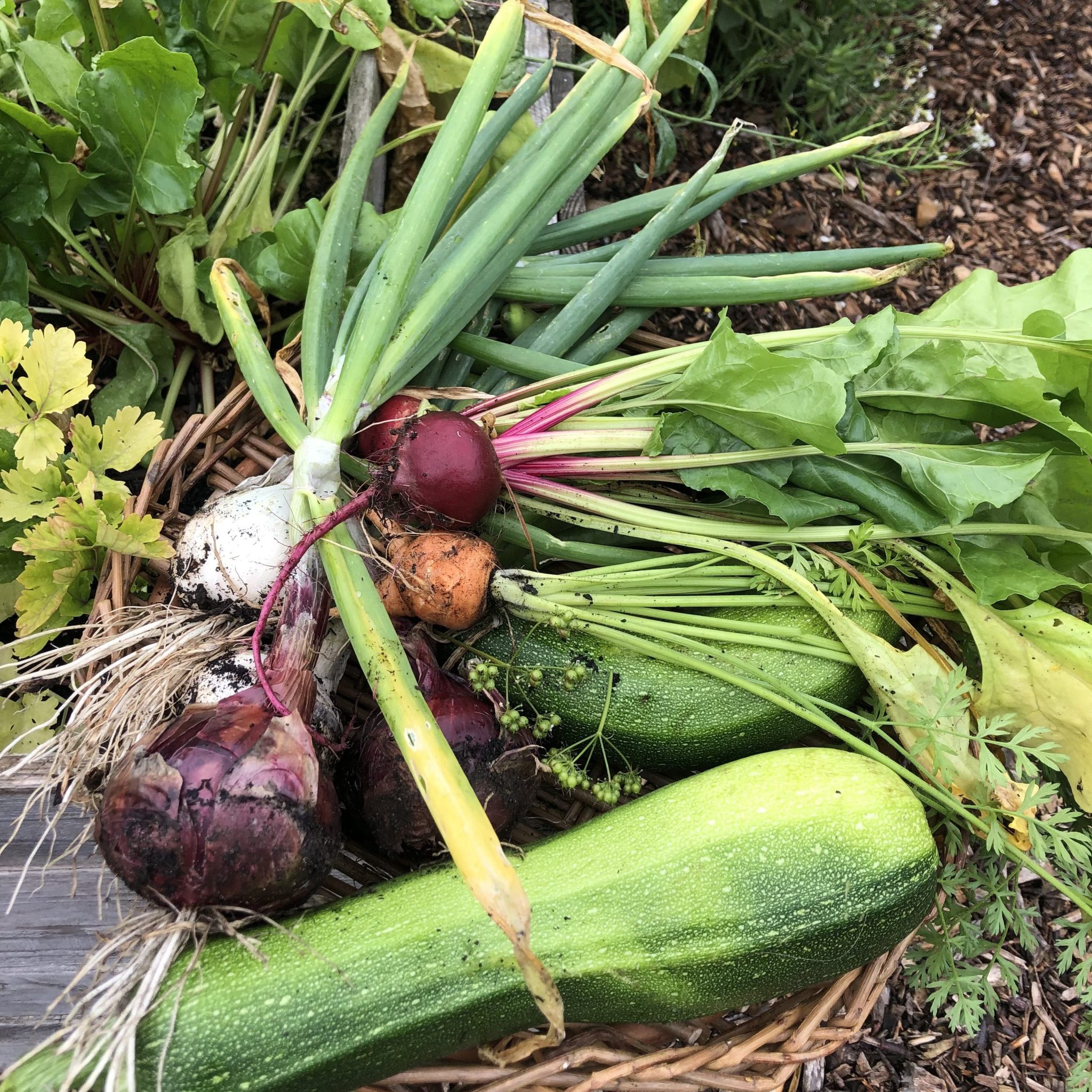 Community Harvest Day
