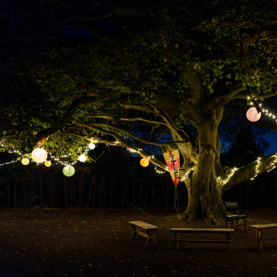 Yuletide in the Woods